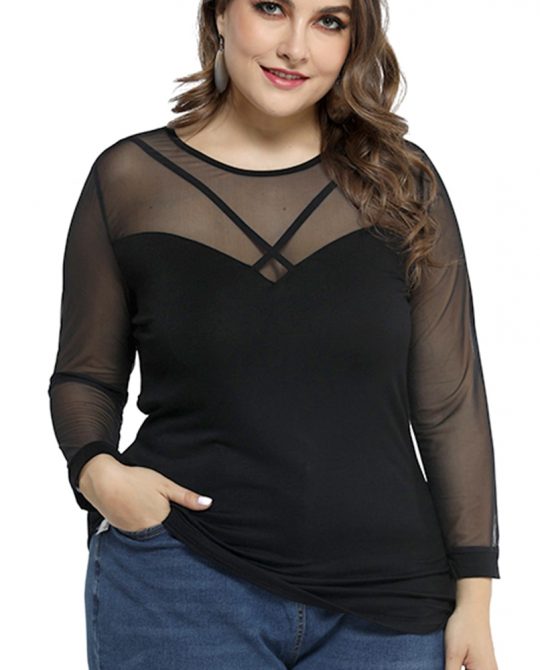 Elegant Long Sleeve Mesh Top