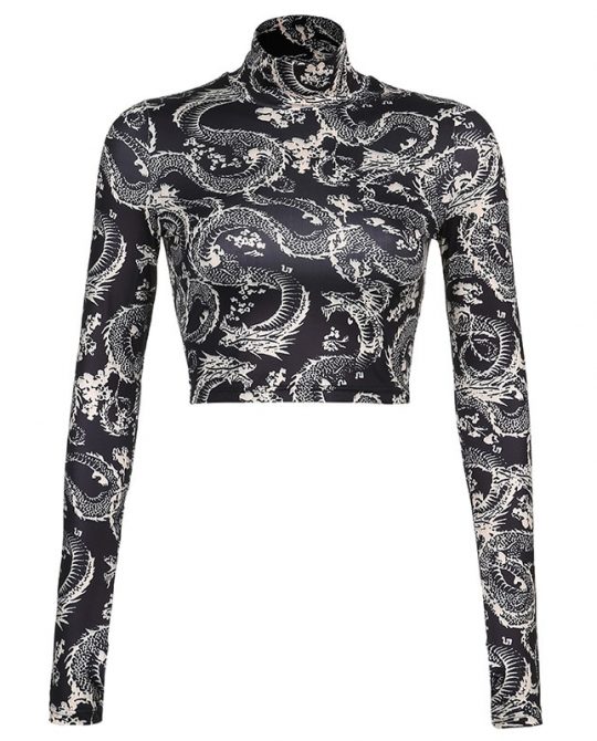 Dragon Long Sleeve High Collar Top