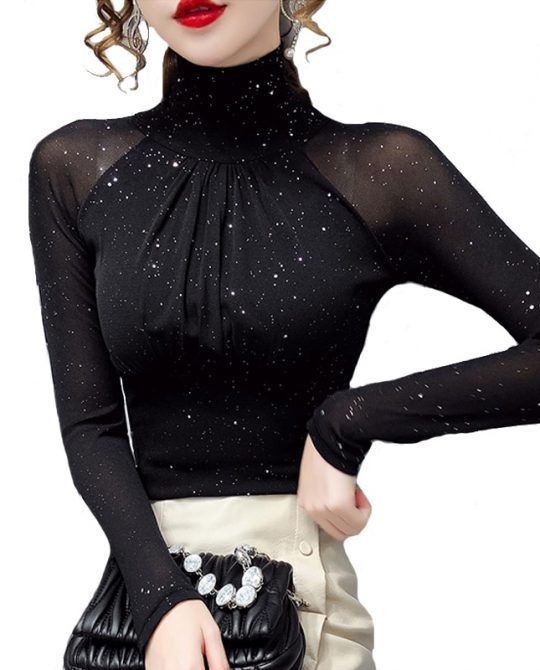 Korean Mesh High Neck Top