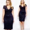 Plus Size Sexy Lace Dress - Image 4