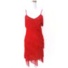Gothic Latin Fringe Flapper Dress - Image 4